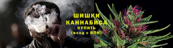 PSILOCYBIN Белокуриха