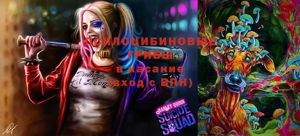 PSILOCYBIN Белокуриха