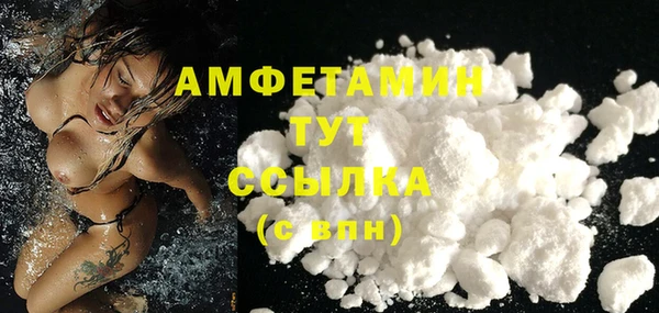 PSILOCYBIN Белокуриха