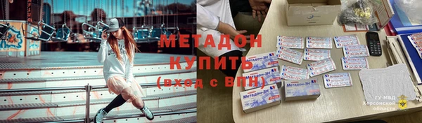 PSILOCYBIN Белокуриха
